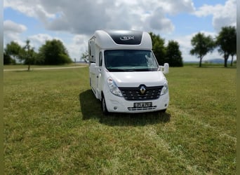 Trasporto cavalli Renault Master automatico, solo 35.300 km, 170 CV, trasporto bestiame, autista a b
