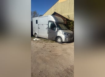 Trasporto per cavalli Roelofsen Sport | Renault Master 180 CV | Cambio automatico | Attrezzatura per