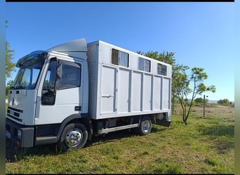 Vettura per il trasporto di cavalli