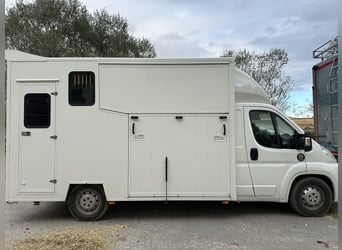 FURGONETA PARA 2 CABALLOS