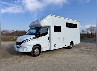 Iveco Daily RJH Sport Pro H2 per 2 cavalli con living, WC e doccia - Veicolo usato, camion