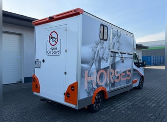 Koniowóz Renault Master 2.3 - Top