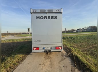 Crafter 50 Dickenherr Trasporto per Cavalli