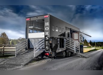 Daf XF 480 del 2021 + Nuovo allestimento del 2026 PREMIUM, registrato per 4 persone