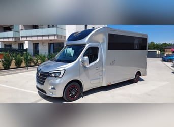 🚚 Renault Master JL Mini | 180 CV Automatico | Trasporto cavalli esclusivo per 1-2 cavalli | HARAS-