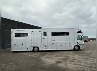 Stephex vrachtauto 7 paarden (prijs op aanvraag) 