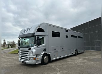 Stephex vrachtauto 7 paarden (prijs op aanvraag) 