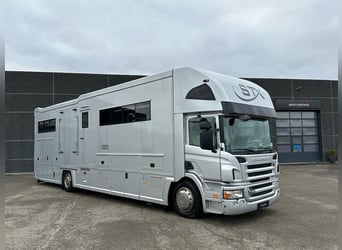 Stephex vrachtauto 7 paarden (prijs op aanvraag) 