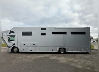 Stephex vrachtauto 7 paarden (prijs op aanvraag) 