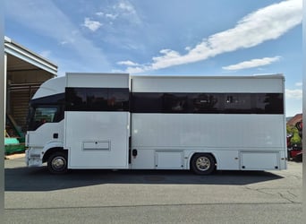 Trasportatore per cavalli MAN TGM da 15 tonnellate – come nuovo!