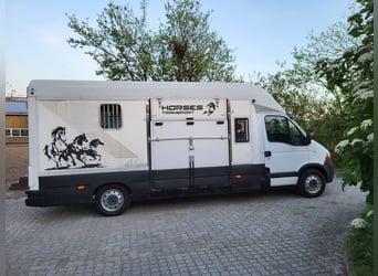 Renault dci120 Pferdetransporter