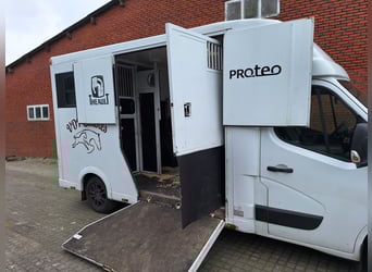 Renault Master Theault paardenwagen hengsten uitvoering