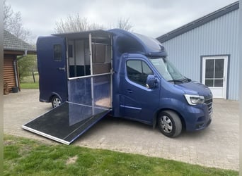 Renault Master Zwei-Pferdetransporter