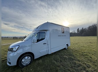 Renault Pferde-Sprinter – 2-Pferde