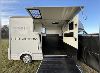 Renault Pferde-Sprinter – 2-Pferde