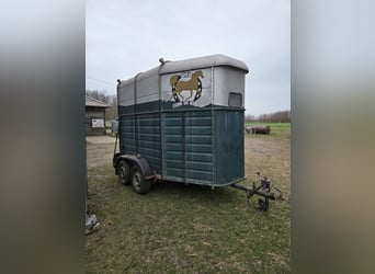 Carrozza per 2 cavalli in vendita