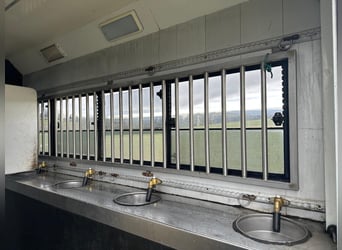 STX LKW Pferdewohnmobil Ivevo Stralis