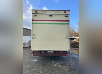 Top gepflegter Pferdetransporter variabel bis 5 Pferde