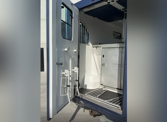 Trasportatore di cavalli Renault Theault