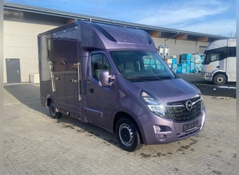 Trasporto cavalli Opel Movano 3,5t, 2 posti, immatricolato nel 2021