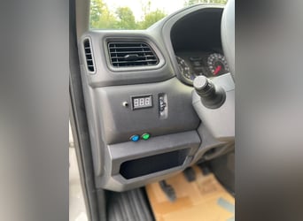 Trasporto cavalli Renault Master