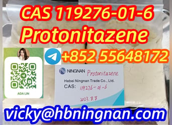 cas 119276-01-6 protonitazene (hydrochloride) 