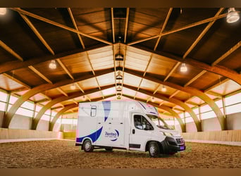 Furgonetta per cavalli FIRSTEO Theault - disponibile per noleggio