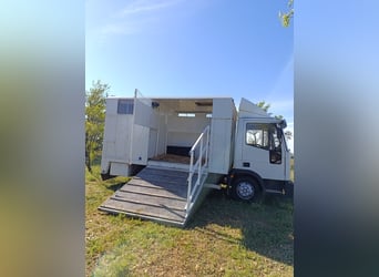 Vettura per 3 cavalli