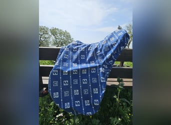 Stubben Siegfried II