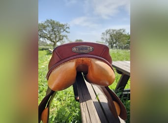 Stubben Siegfried II