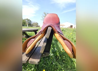 Stubben Siegfried II