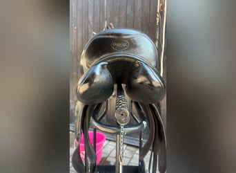Della Prestige da dressage in vendita