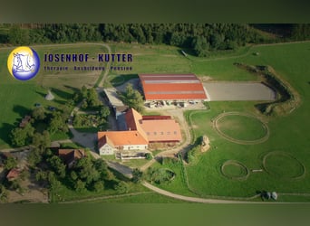 Addestramento, formazione di cavalli e cavalieri, area di addestramento, educazione dei cavalli, for