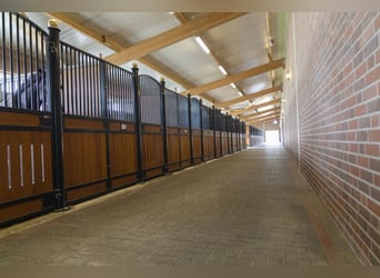 Posti di addestramento disponibili