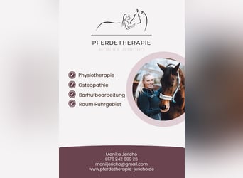 Hufbearbeitung / Pferdephysiotherapie / Pferdeosteopathie 