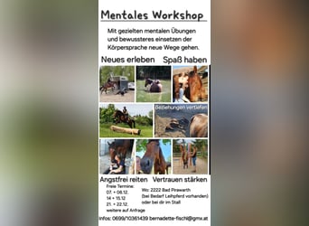 Mentaltraining