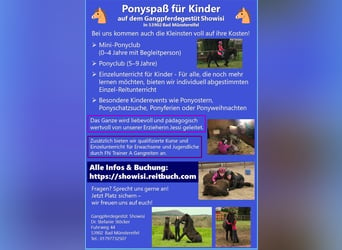 Pferdeführerschein, Trainerfortbildung, Gangpferde, Reitabzeichen