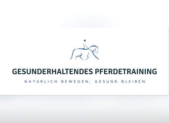 gesunderhaltendes Pferdetraining