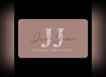 Instructie en Training van Spring en Dressuur paarden aangeboden/Unterricht und Training/Ausbildung 