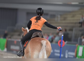 Reitunterricht für Erwachsen, Kinder und Jugendliche