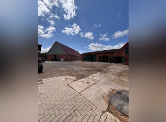 Box available – Full board – Riding facility – Boarding stable