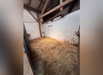 Box available – Full board – Riding facility – Boarding stable