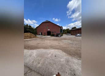 Box available – Full board – Riding facility – Boarding stable