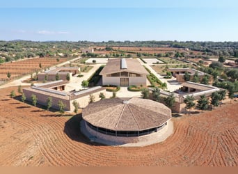 Box disponibili presso la VMG Horse Ranch