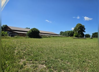 Box disponibili a 88518