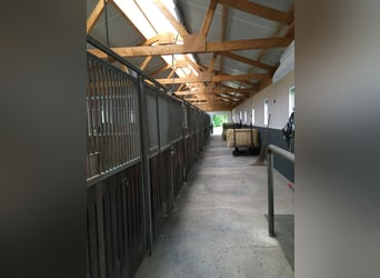 Box paddock disponibile a Rulle vicino a Osnabrück