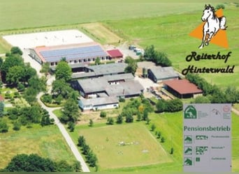 Freie Plätze an schöner, großer Reitanlage