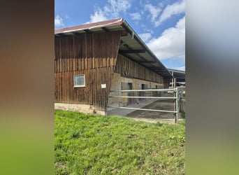 Paddockbo  Vollpension Selbstversorger 