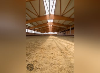 Paddockbox auf großer Reitanlage mit top Trainingsbedingungen