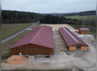 Posti disponibili nelle nostre scuderie equestre a Metzenhof!